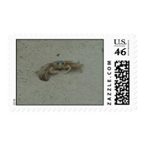 Postage Stamp - Crab on the Beach by trishhicks Postage Stamp - Crab on the Beach