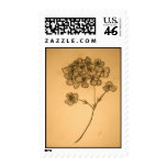 Postage stamp Hydrangea flower (antique color)