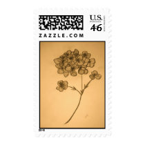 Postage stamp Hydrangea flower (antique color)