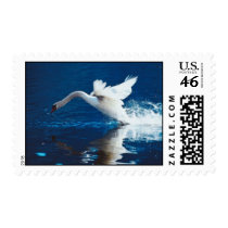 Postage Stamp Of Swan Taking Flight