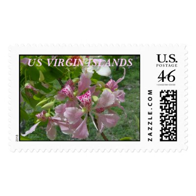 Postage Stamp of the US Virgin Islands by blueyeblond