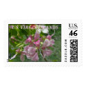 Postage Stamp of the US Virgin Islands by blueyeblond Postage Stamp of the US Virgin Islands