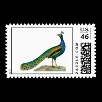 Postage Stamp, Peacock stamps