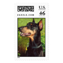 Postage Stamps by EveKnight Postage Stamps