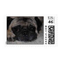 Postage Stamps