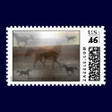 Postage Stamps Horse collage by sherrellsphoto77 Postage Stamps Horse collage