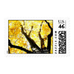 Postage Stamps - Summer in Autumn