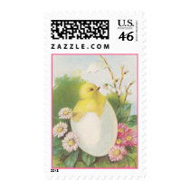 Postage Stamps Vintage Chicken Peep Hatch Spring