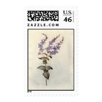 Postage to match Card-001