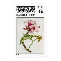 Postage to match Card-003