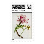 Postage to match Card-003