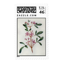 Postage to match Card-004