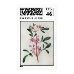 Postage to match Card-004