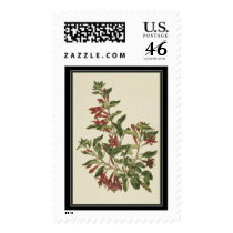 Postage to match Tapestry Card - 019