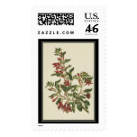 Postage to match Tapestry Card - 019
