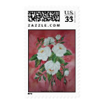 Postage White Roses
