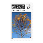 Postage with autumn leaves Postage with autumn leaves