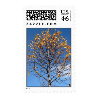 Postage with autumn leaves stamp