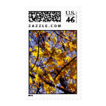 Postage with autumn leaves Postage with autumn leaves