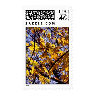 Postage with autumn leaves stamp