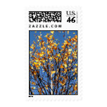 Postage with autumn leaves Postage with autumn leaves