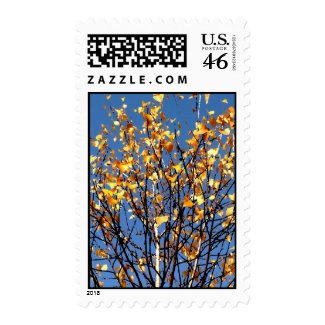 Postage with autumn leaves stamp