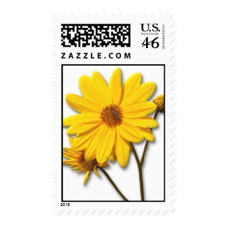 Postage with yellow flower stamp
