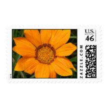 Postage Yellow Flower