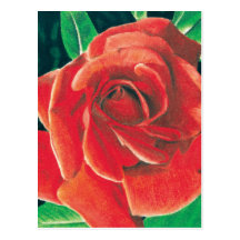 Postal color de rosa de Jacob Grimm
