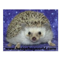postal del hedgehogworld