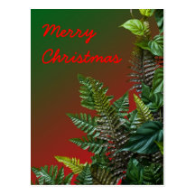 Postal del helecho de navidad