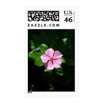 Postal Love postage by CHOLOEPUS Postal Love postage