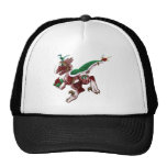 Postal Shivae hats