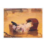 Postcard:  A Flood - with baby and cat