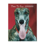 POSTCARD ~ APPOINTMENT TIME VETERINARIAN REMINDER