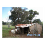 POSTCARD - Australia postcards