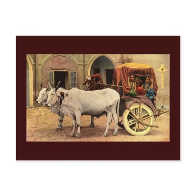 Postcard- Awesome India Village by forbes1954