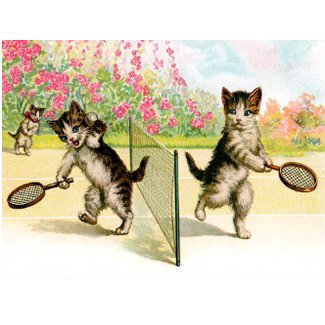 Postcard: Badminton Kittens Vintage Art postcard
