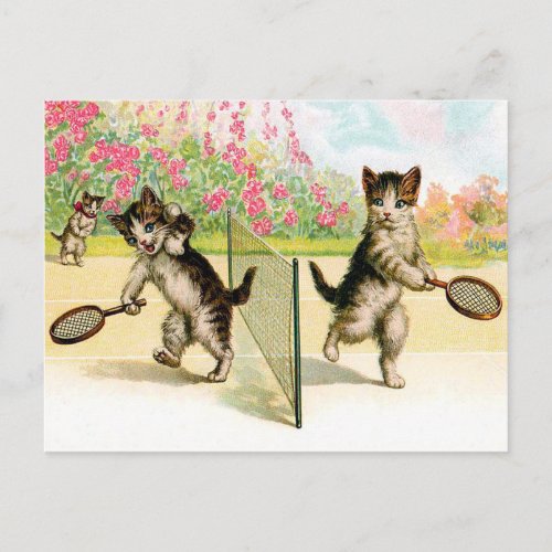 Postcard: Badminton Kittens Vintage Art
