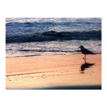 Postcard Bird posters