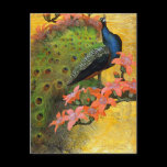Postcard: Blue Peacock postcards