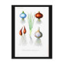 Postcard-Botanicals-Root Vegetables 2