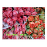 POSTCARD Bunches of Tulips postcards