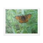 Postcard Butterfly