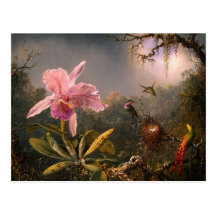 Postcard: Cattleya Orchid & Three Hummingbirds