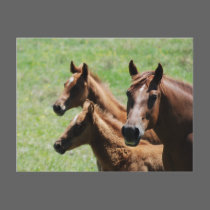 Postcard - Chestnut Mare & Foals by smilodonart Postcard - Chestnut Mare & Foals