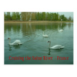 POSTCARD - Cruising the Saône River  - France postcards