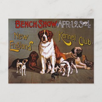 Postcard: Dog Show: Bench Show 1890 postcard