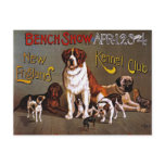 Postcard: Dog Show: Bench Show 1890