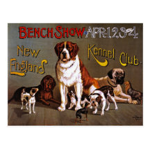 Postcard: Dog Show: Bench Show 1890